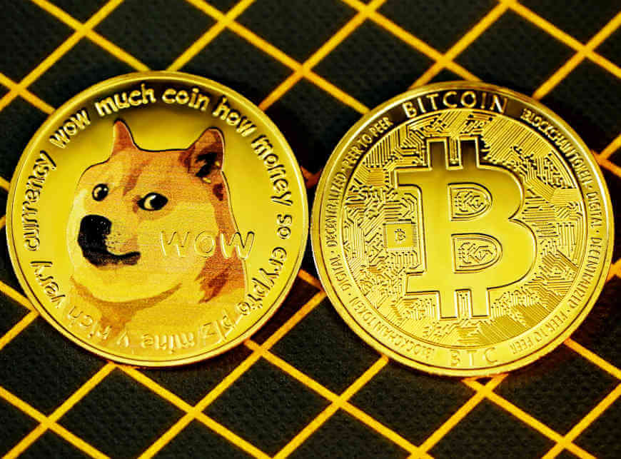 risks of investing in shiba inu coin