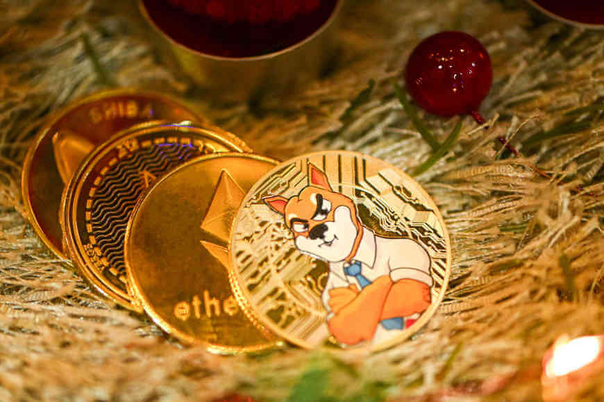 success stories of shiba inu coin investors
