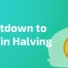 Countdown to Bitcoin Halving 2024